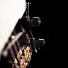 images/GuitarCloseups/t_Wave_b/t_black_cu_webjpg-5.jpg