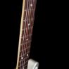 images/GuitarCloseups/t_Wave_lms/t_silver_cu_webjpg-1.jpg