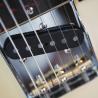 images/GuitarCloseups/t_Wave_vf/t_vf_cu_webjpg-2.jpg