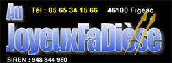 Au joyeux fadiese logo1