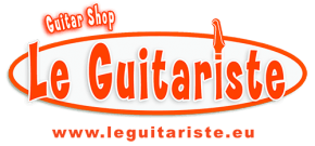 Le guitariste LOGO